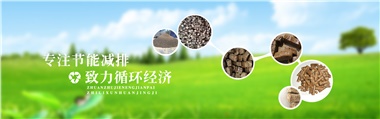 倪維斗院士：通過技術(shù)創(chuàng)新，大力發(fā)展超級(jí)能源生物質(zhì)燃料